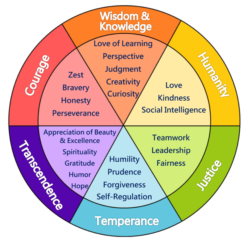 VIA Character Strengths Color Wheel