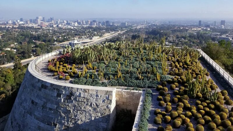 Cactus Garden at the Getty