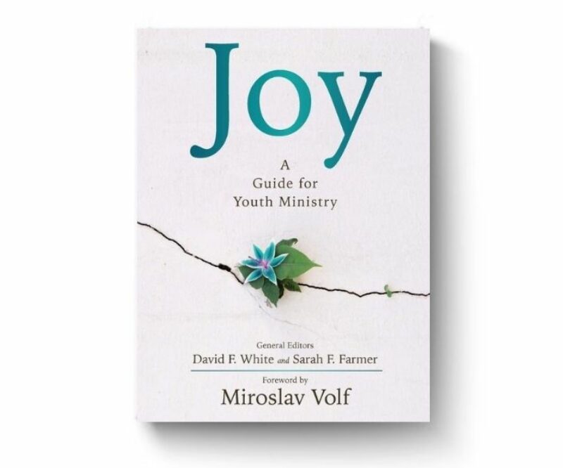 Joy Guide for Youth Ministry book cover